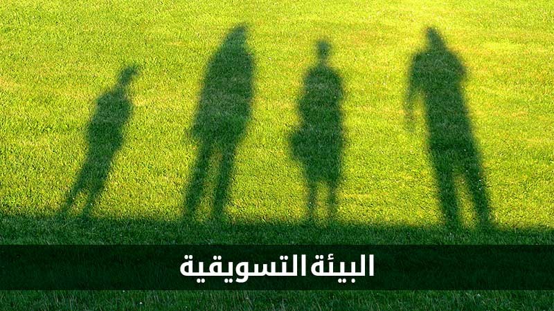 البيئة الجزئية