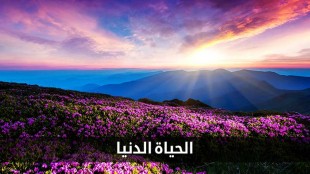 الحياة الدنيا